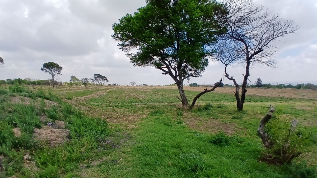 1 7-1000kb 3 Bedroom Stunner For Sale In Fochville