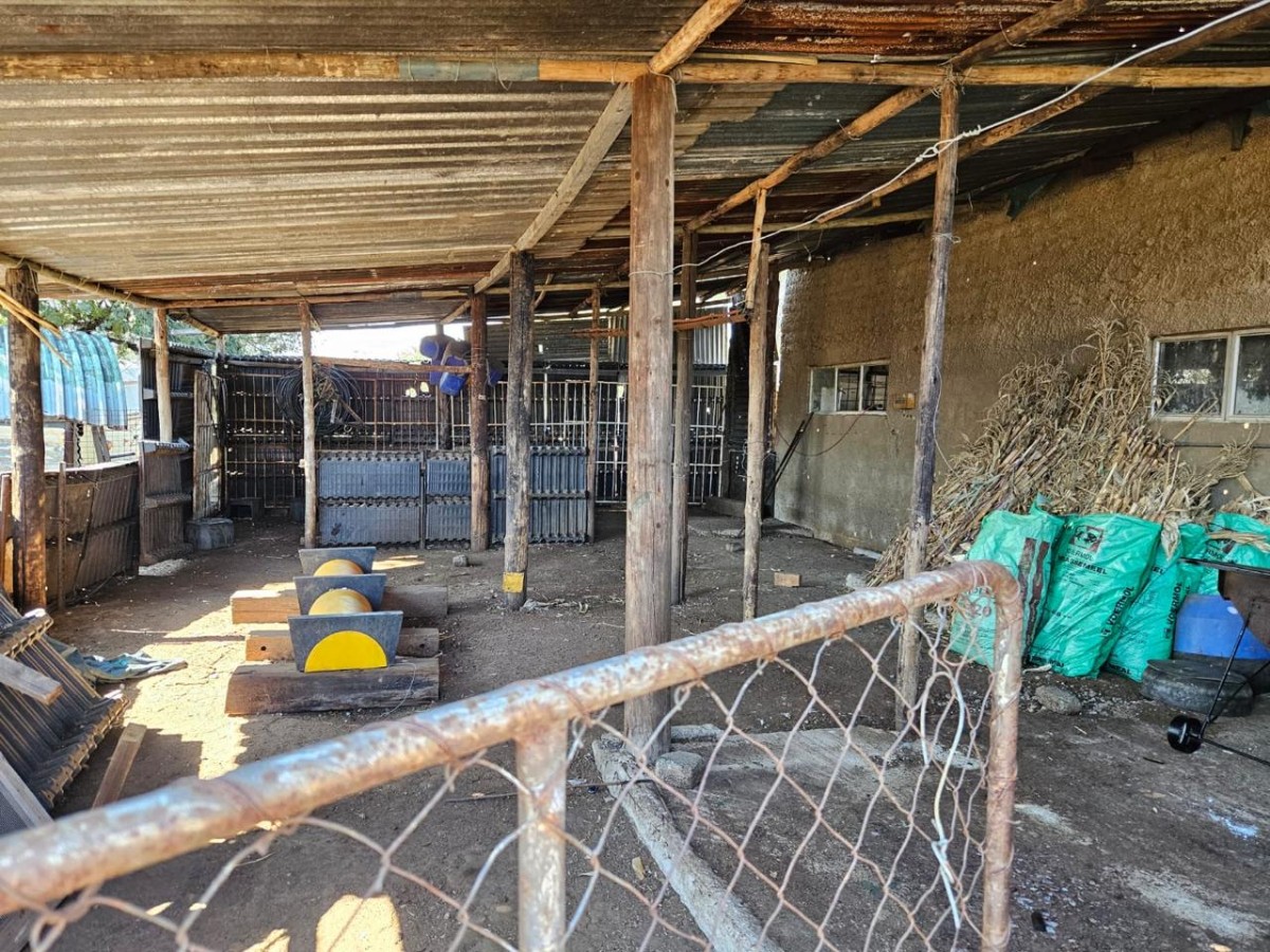 20 1-1000kb 3 Bedroom Stunner For Sale In Fochville